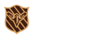 鹰盾智能